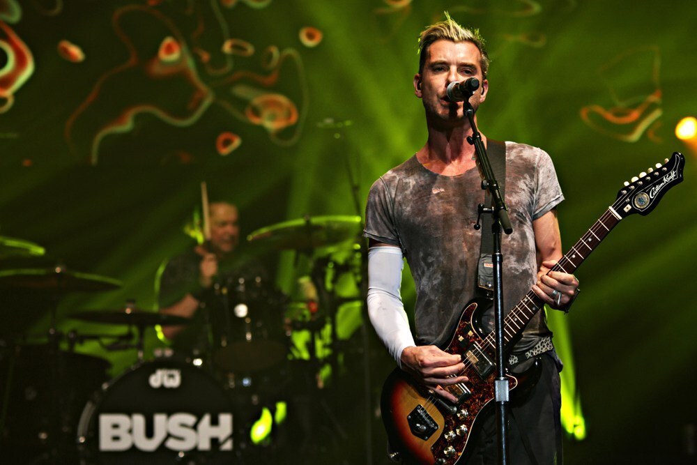 Bush